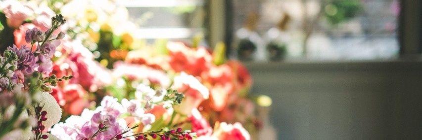 terruuu's profile banner image
