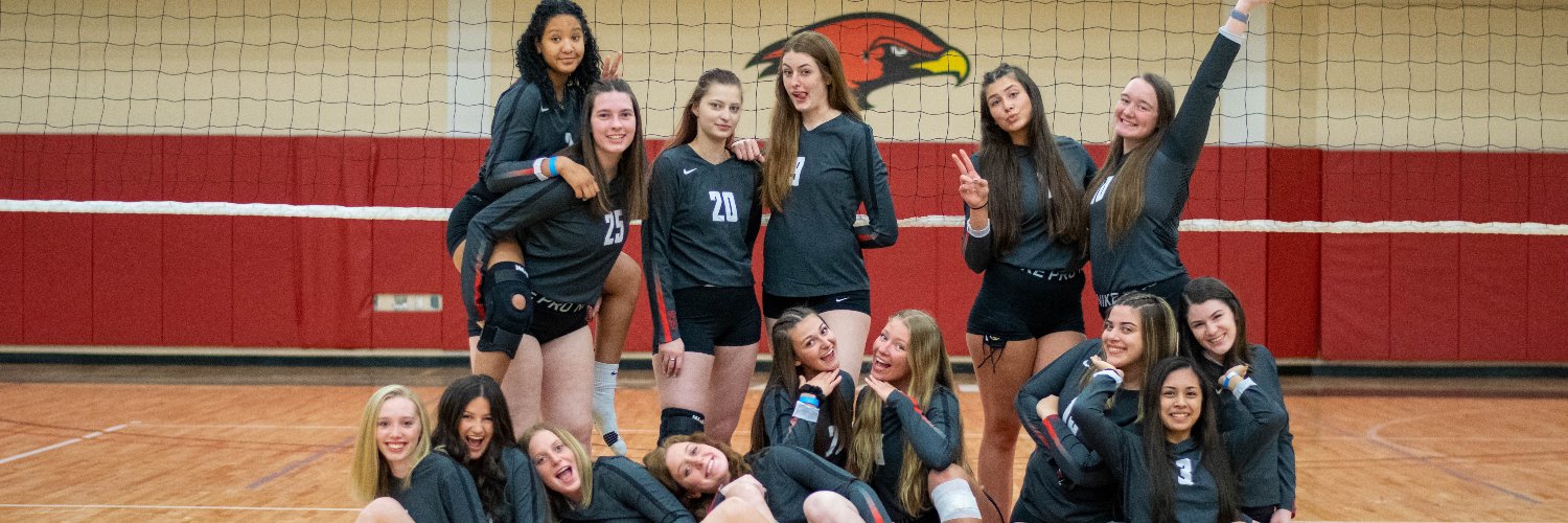 La Roche Volleyball banner