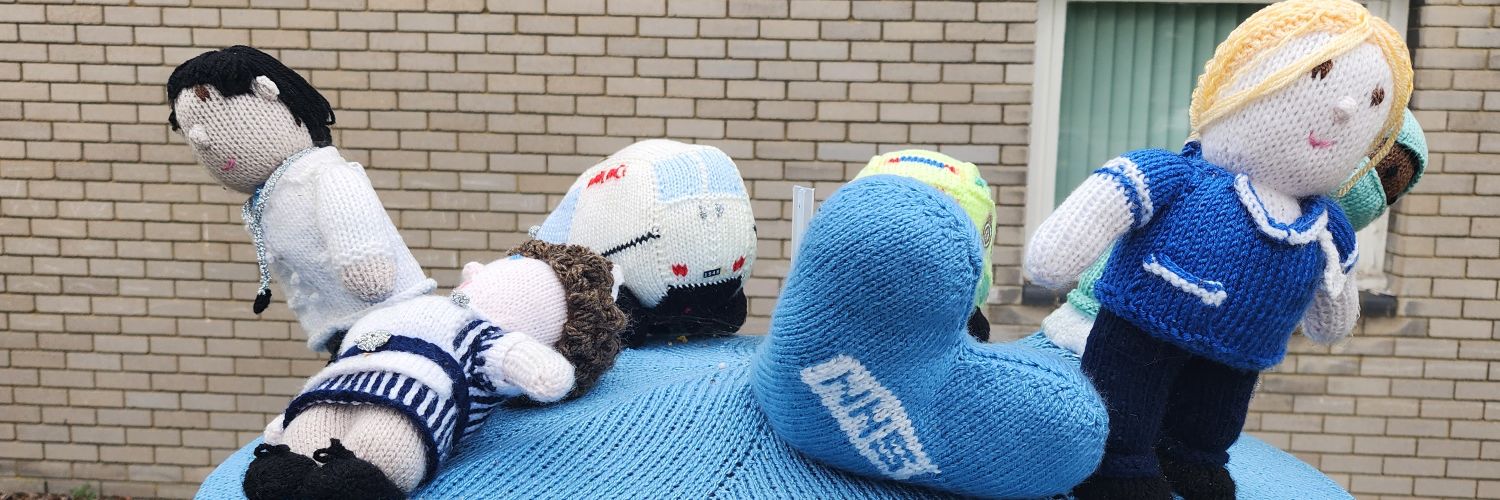 Hampshire Hospitals Chief Nurse Office banner