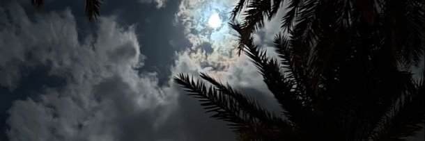 vt8xv's profile banner image