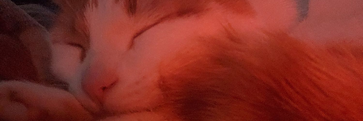 crisolivaresh's profile banner image