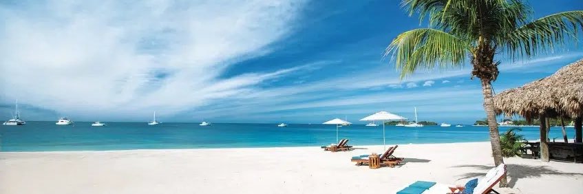 Grayson🏴‍☠️🏴‍☠️🏴‍☠️ banner