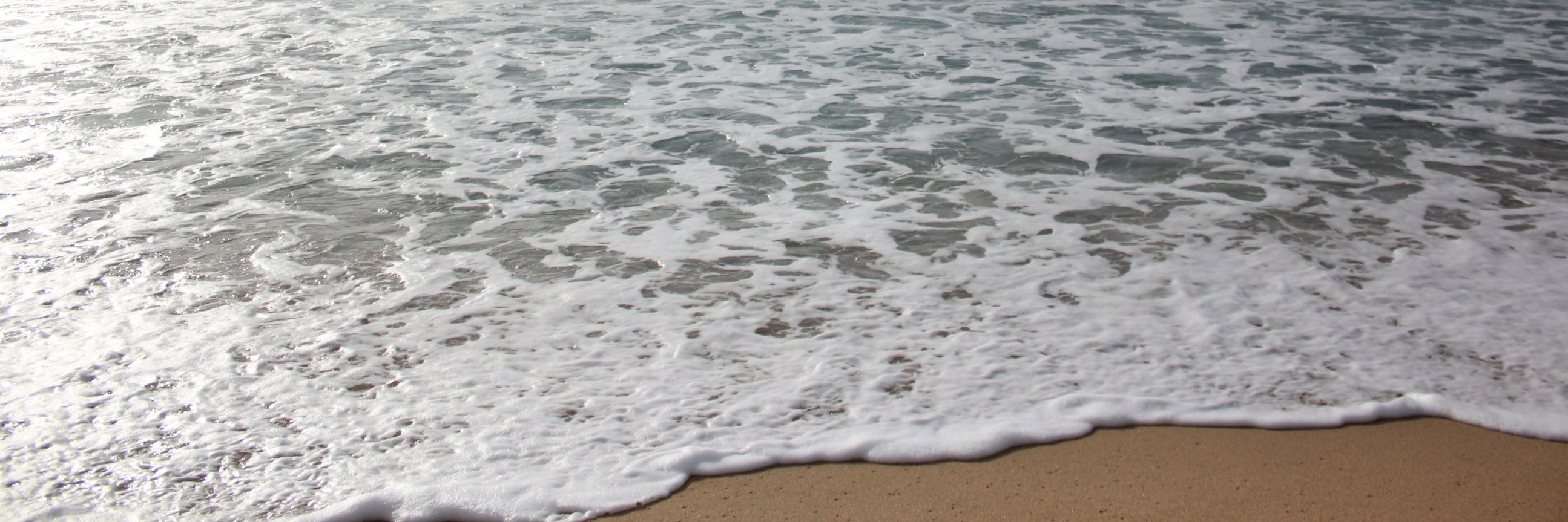 officialMeiFan's profile banner image