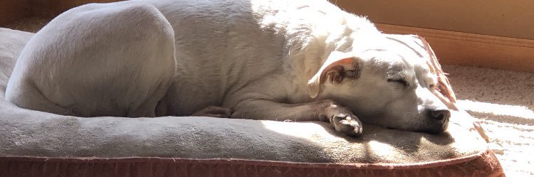 Bud Dupree Hater banner