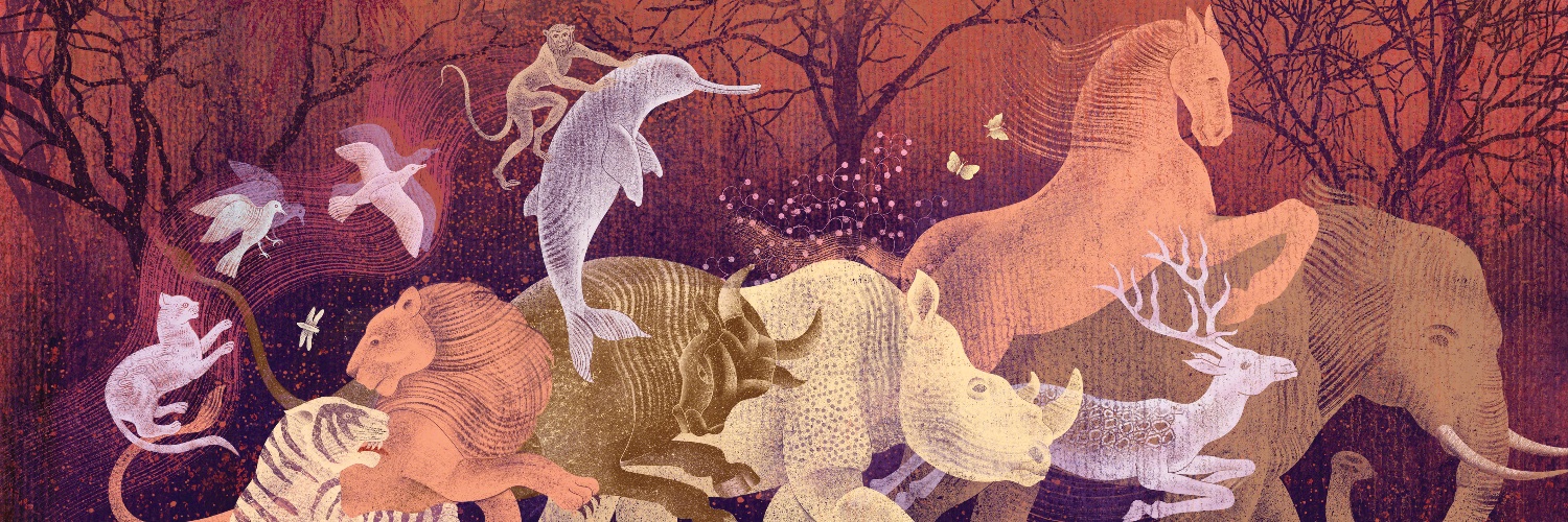 The Creative Company banner