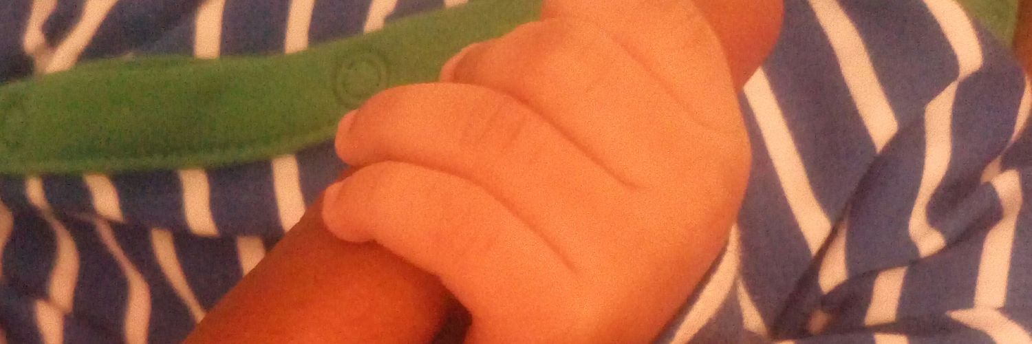 bilqees_01's profile banner image
