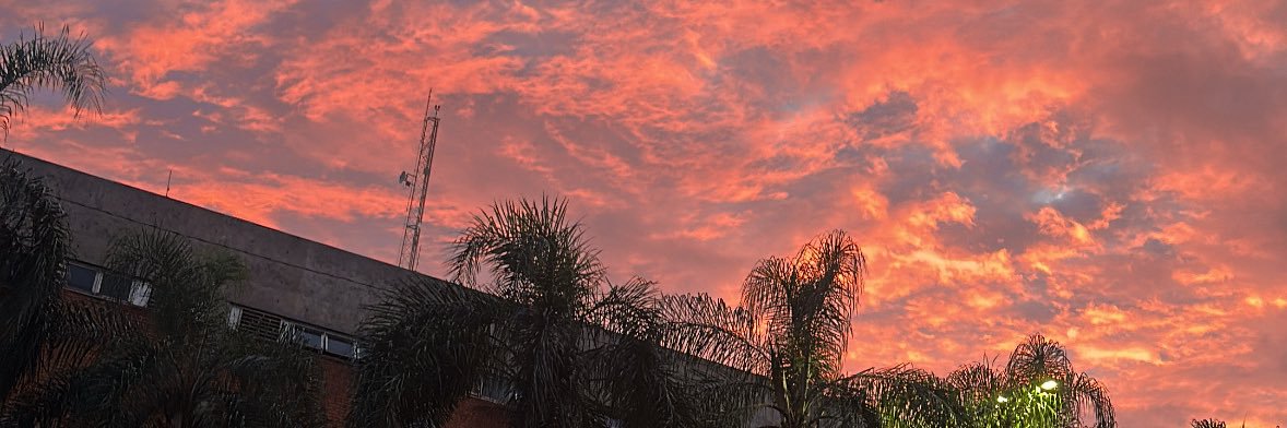 Gabi banner