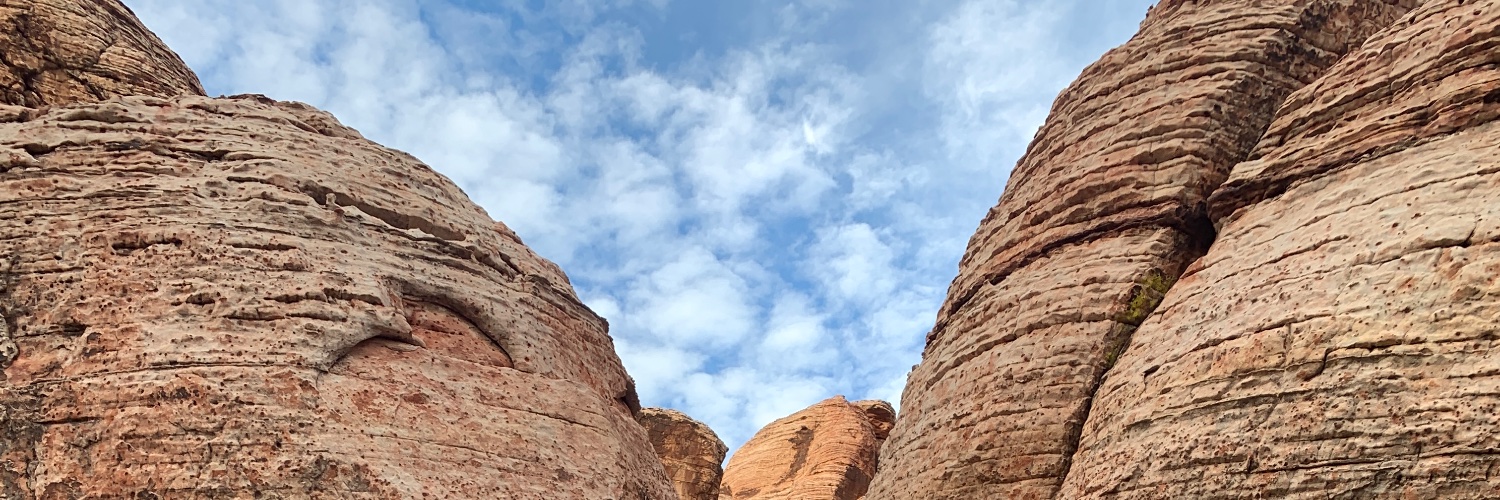 Erik Ex Plano banner