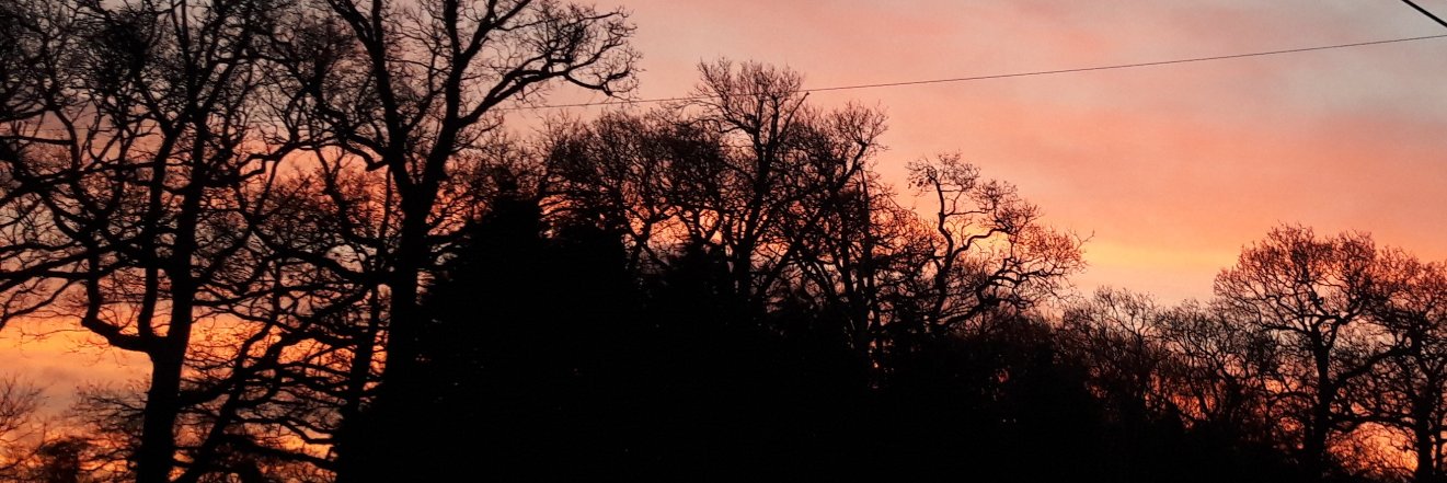 BPOBrien's profile banner image
