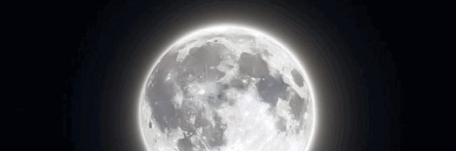 きぃしゃけ banner