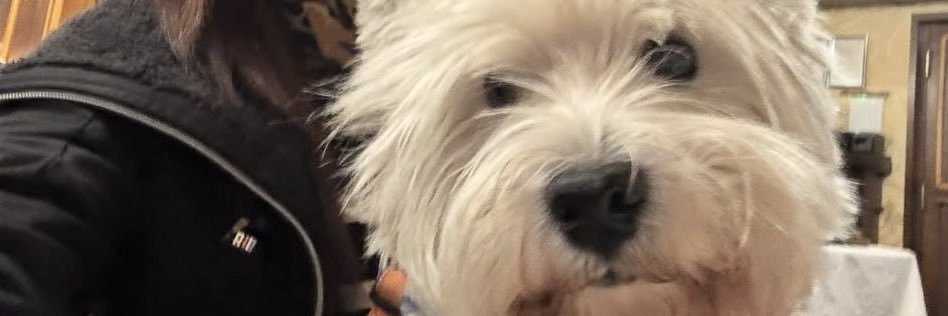 Marina Kokanović 🐾 banner