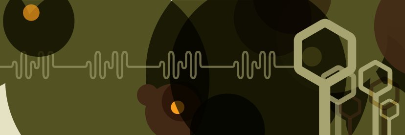 the echo network banner