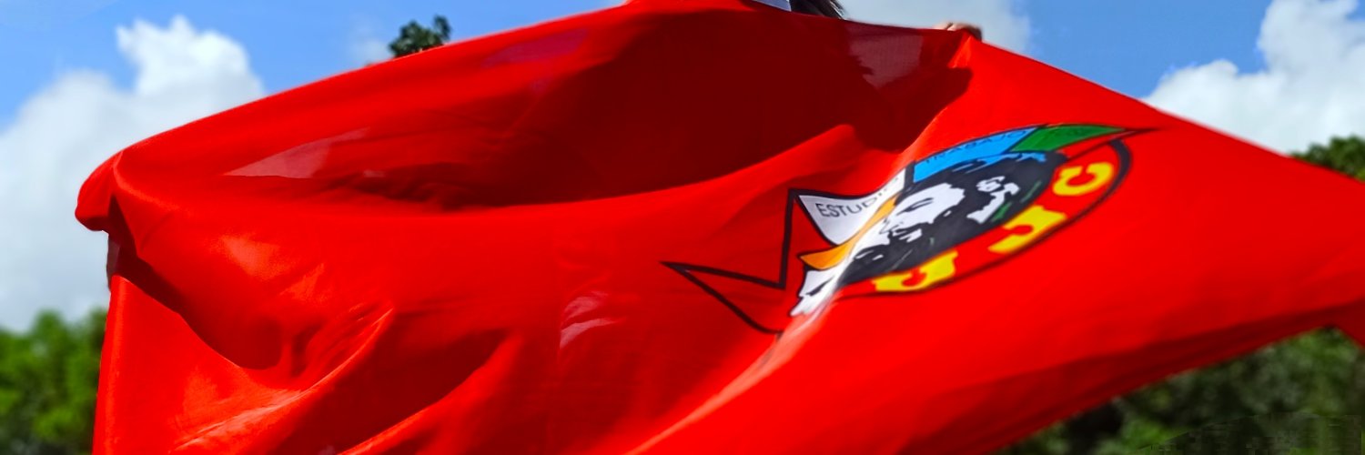 Sindy Estrada Cárdenas banner