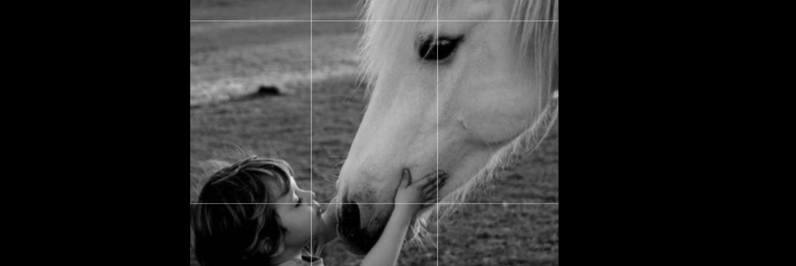 Rumarsln_'s profile banner image