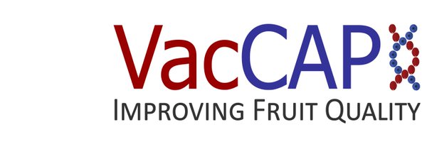 VacciniumCAP Profile Banner