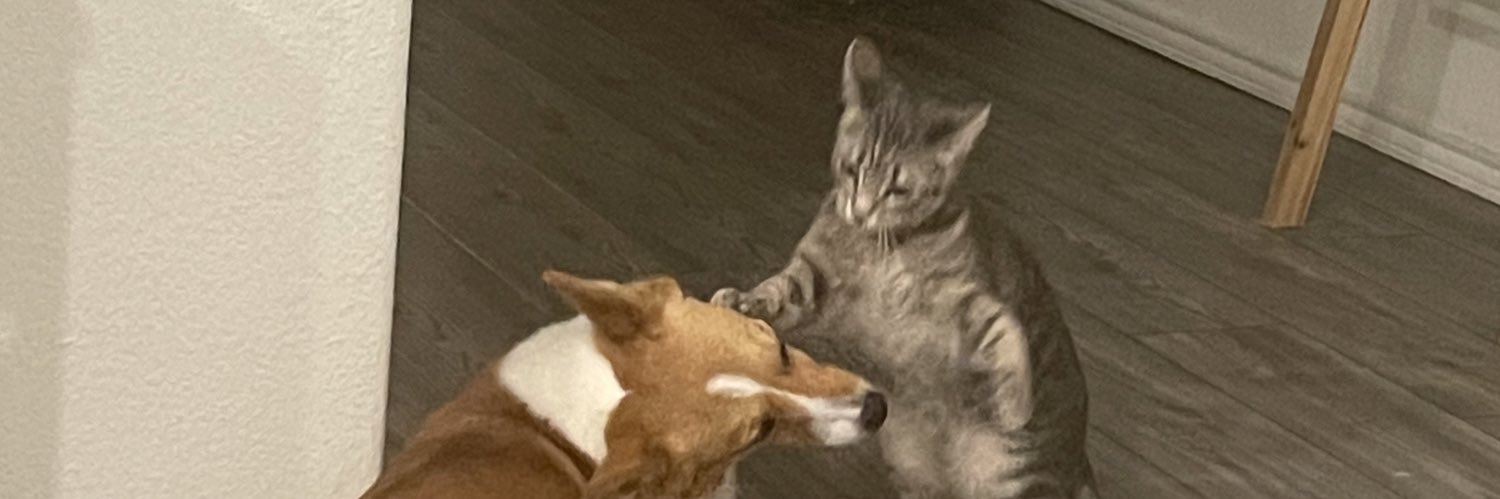 Buzz’s Card Emporium banner