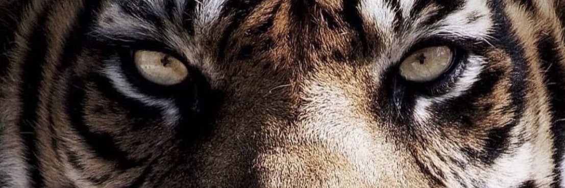 JesseH_69's profile banner image