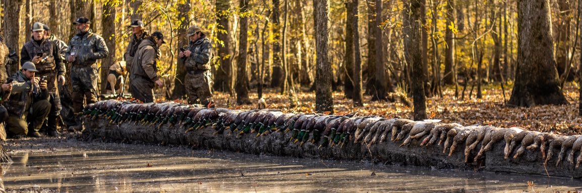 BrettBarbee1's profile banner image