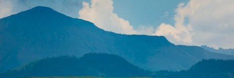 Woodland Empire 🌲🐿️🐦🐺🏳️‍🌈 banner