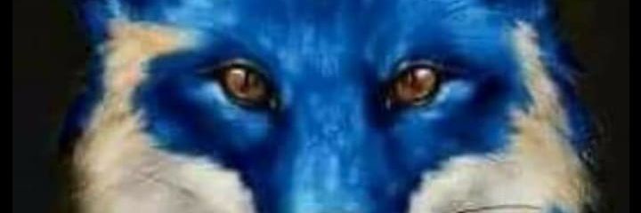 rodscesar's profile banner image