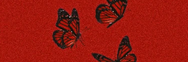 b10dreiman's profile banner image