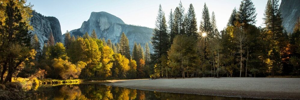 𝙏𝙖𝘿𝙚𝙤𝙎𝙞𝙜𝙣𝙨 banner