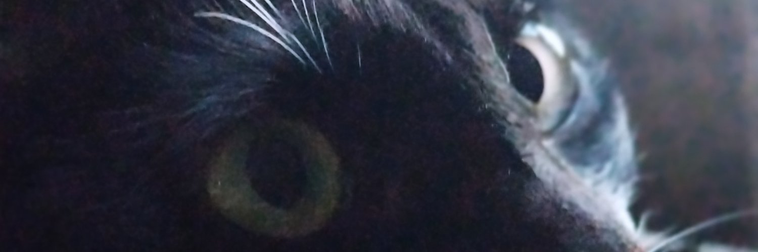 Flavia2003's profile banner image