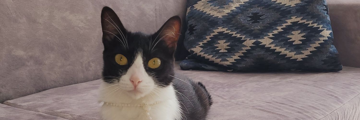 Andrés Robledo banner