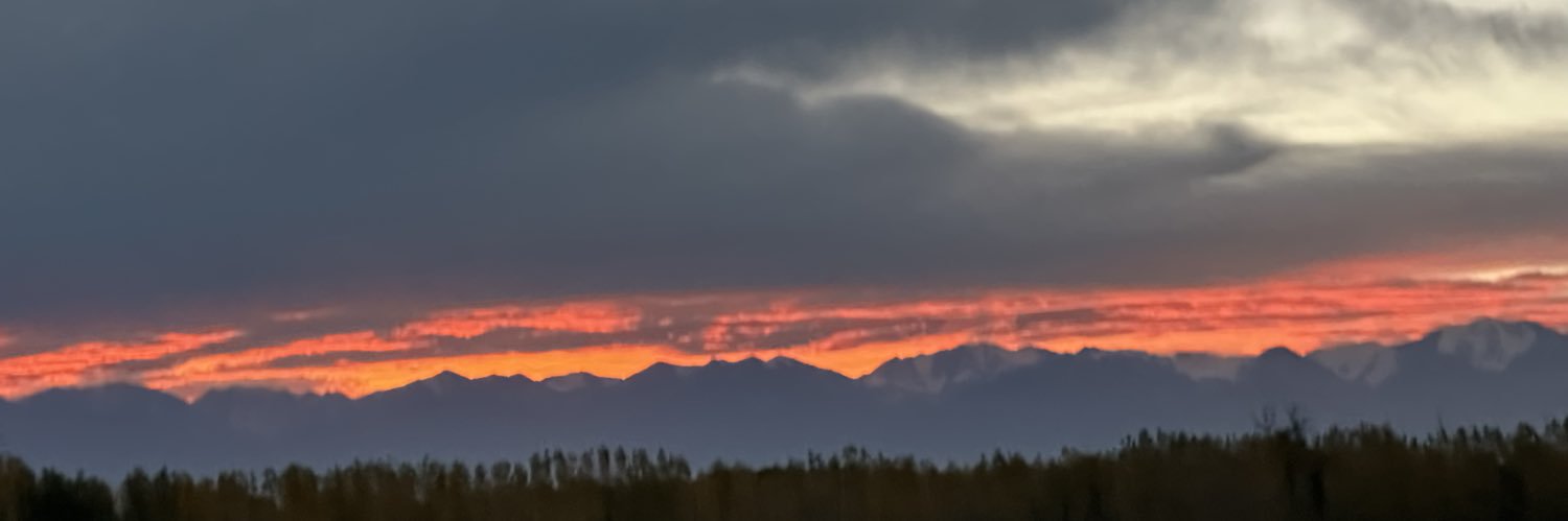 celenuneez5's profile banner image