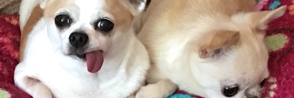InfidelVlad's profile banner image