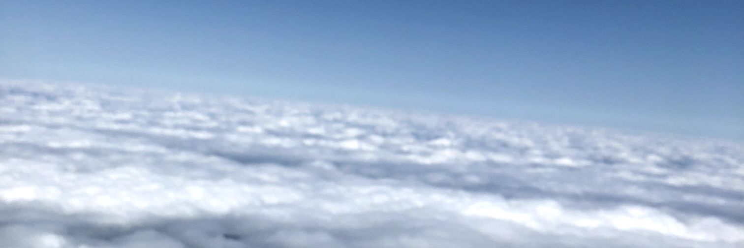 MsDogMom2578's profile banner image