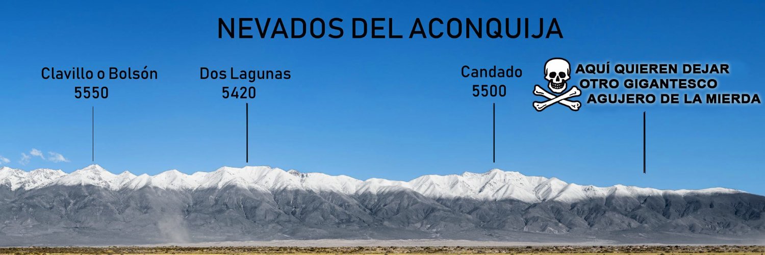 Ana Chayle banner