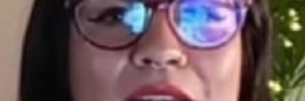 El Catrin del Sur banner