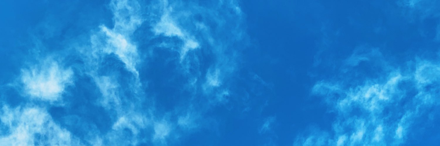 lobsterissue's profile banner image