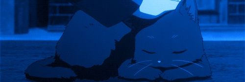 Nephelym's profile banner image