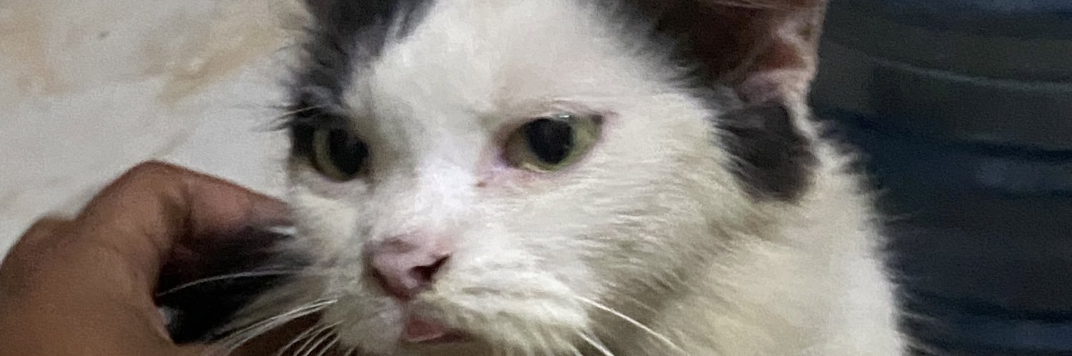 IkanLayar_'s profile banner image