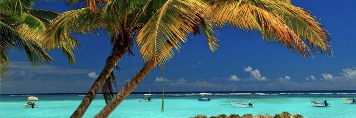 BeachDawgLife's profile banner image