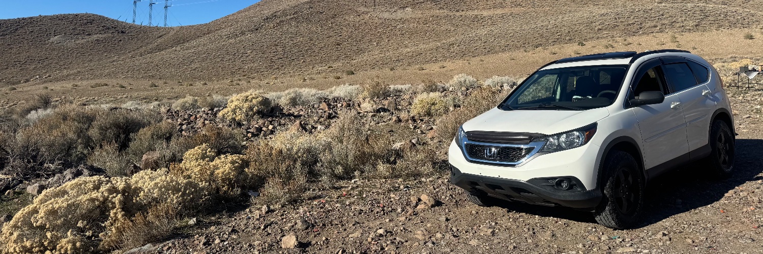 not enough guns banner