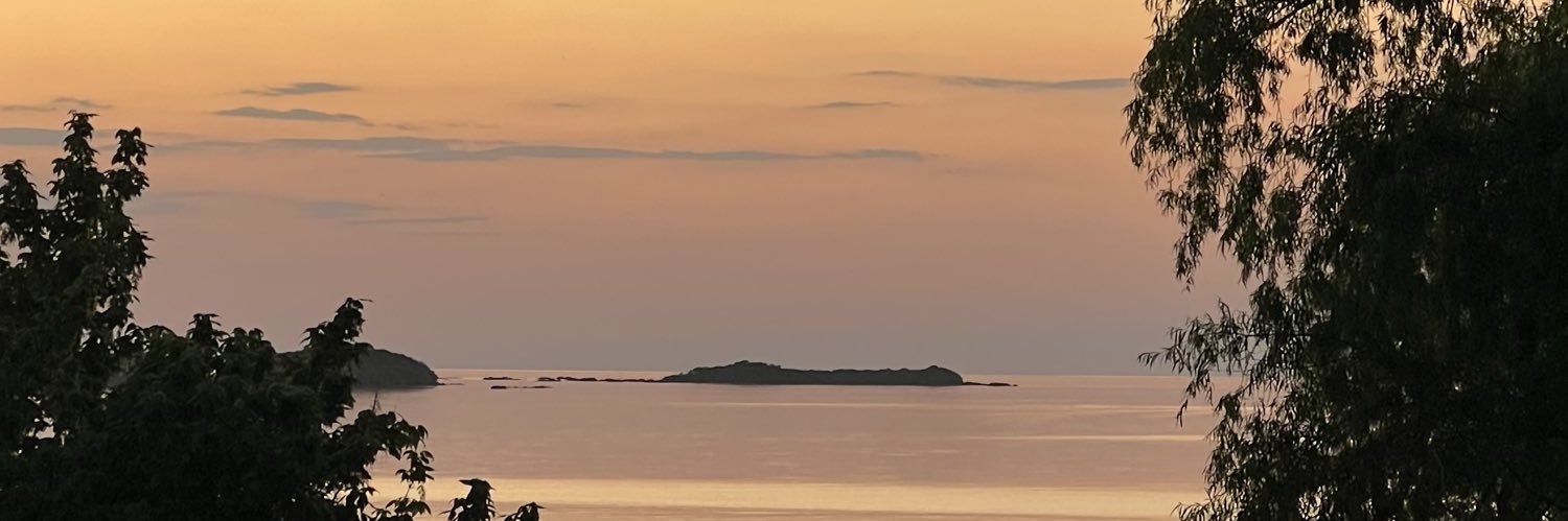 borges_moa's profile banner image