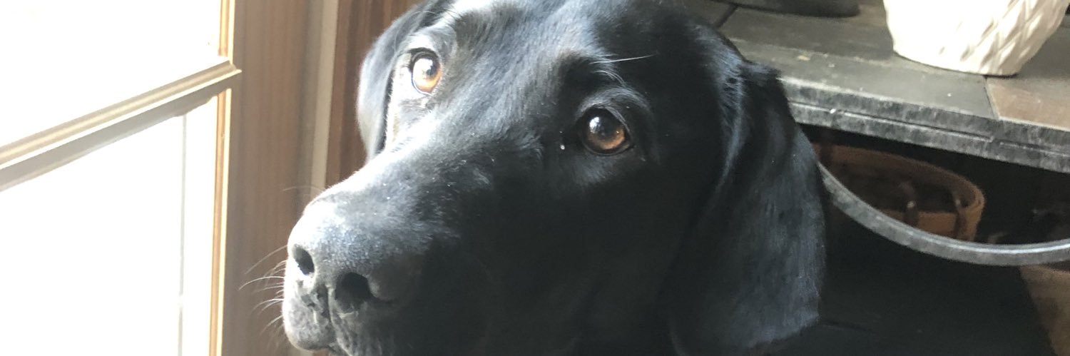 RegnCade's profile banner image