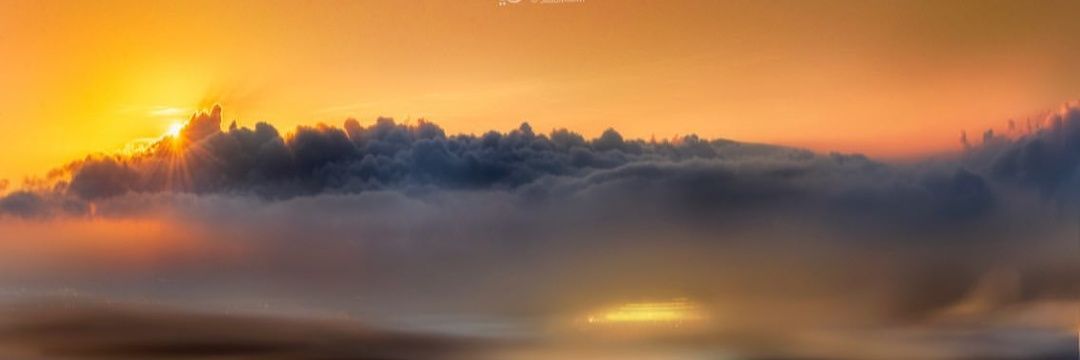 oroobah2's profile banner image