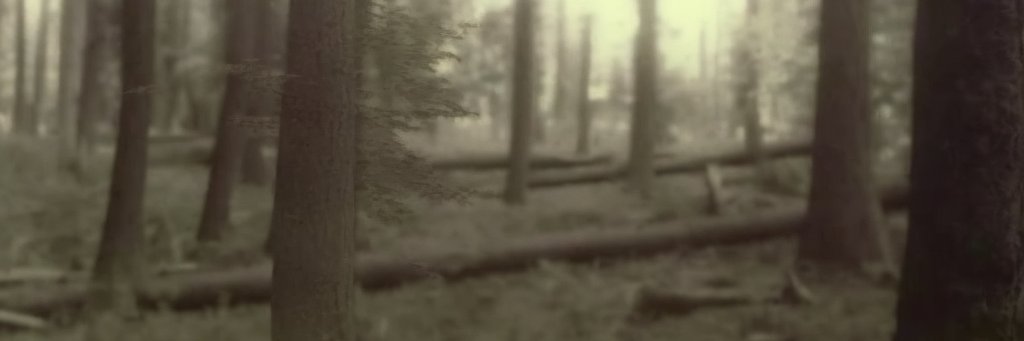 JACKSONand's profile banner image