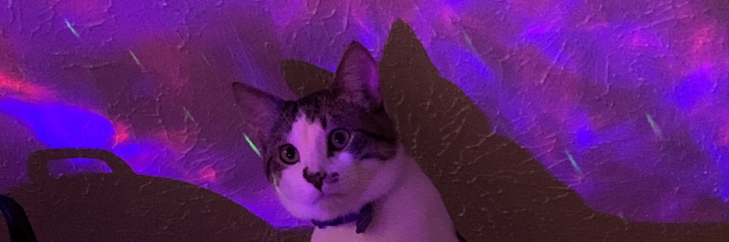 justbronna's profile banner image