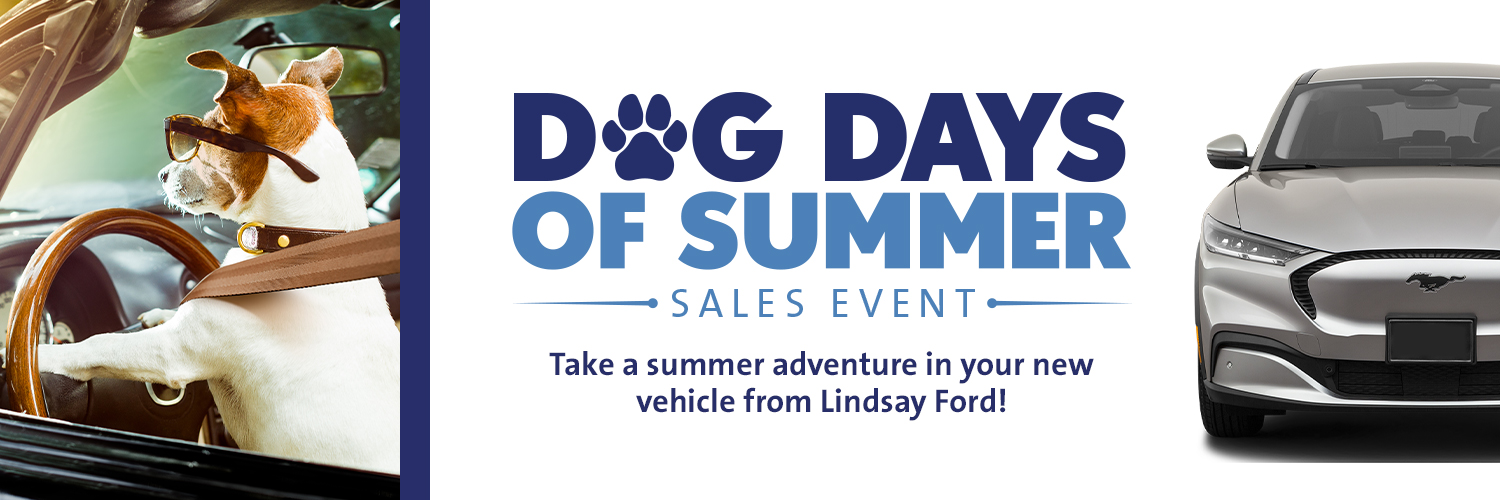 Lindsay_Ford's profile banner image