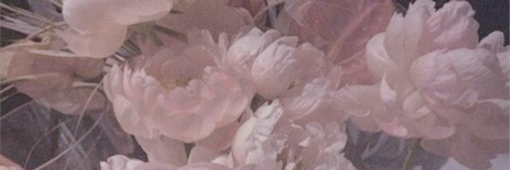 Laurinha⚡️ banner