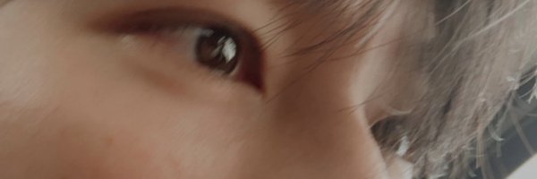 milo_aea Profile Banner