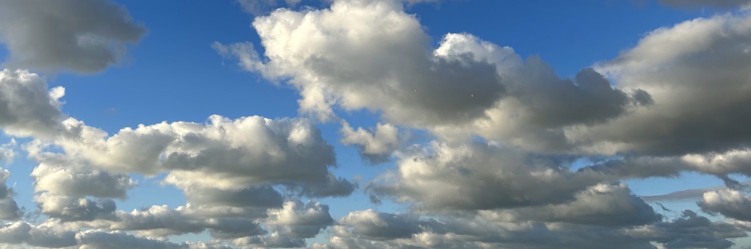 chickle's profile banner image