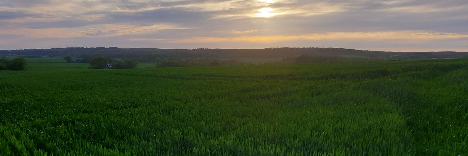 countstex's profile banner image