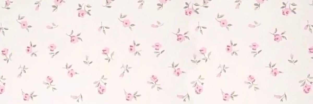 ᱸ⁎⁺ 피미 ˳🌷 banner