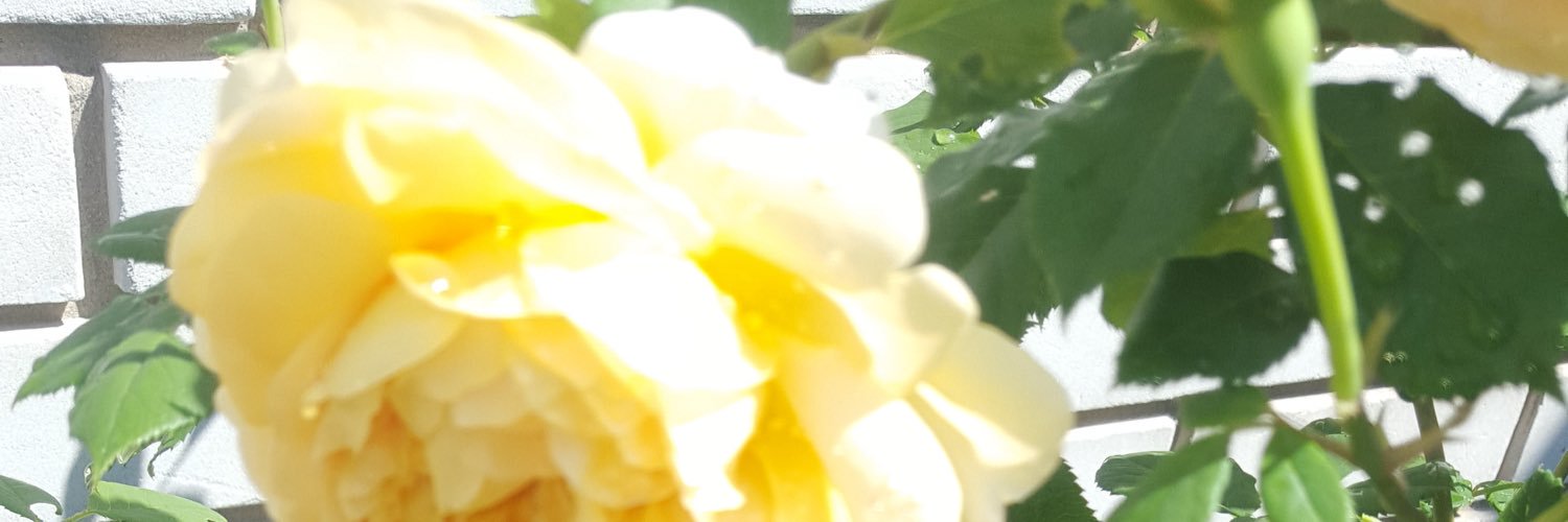 Athlene25's profile banner image